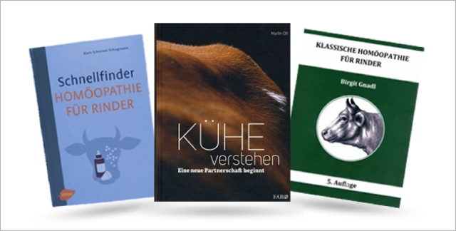 Weiter zur Rubrik